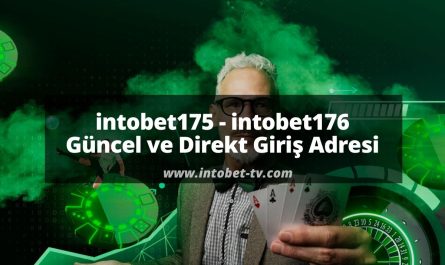 intobet175 - intobet176 Güncel ve Direkt Giriş Adresi